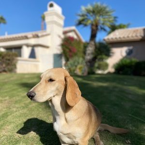 Meet your Posher, Jack